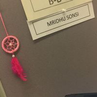 Mridhu Sonsi的照片