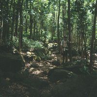 Fotos de Marcos Aguilar