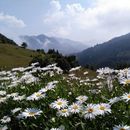 Kuzdere Hiking的照片