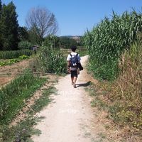 Photos de Dongsu Joseph Kim