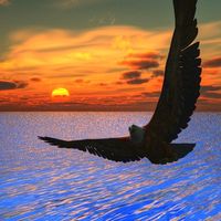 Christine christi's Photo