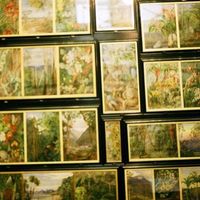 Matteo Zamagni的照片