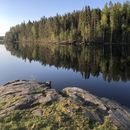 Поход В Карелию 's picture