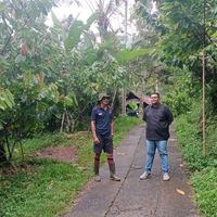 Le foto di Paulo Rosario