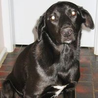 Mitchy Boy Cox的照片