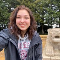 Victória Longarai的照片