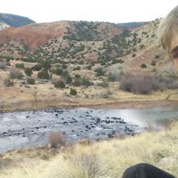 Austin Healy的照片