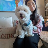 Ellier Leng的照片