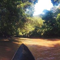 Juan Escobar's Photo