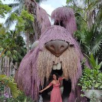 Фотографии пользователя Andrea Dominguez Roman