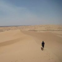 Colin Archdeacon's Photo