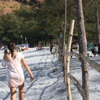 Viola Marie Lardizabal的照片