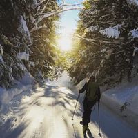 Sophie  Demers的照片