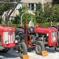 Marjolein Wouters's Photo