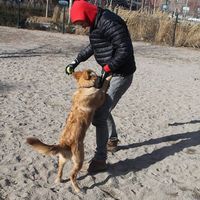 Willie Willis's Photo