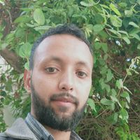 Mohamed Lamer's Photo