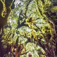 Фотографии пользователя Vlad Ng