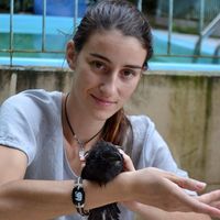 Photos de Betina Franklin Baggio