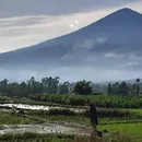 One Day Trip Mt. Cikuray 's picture