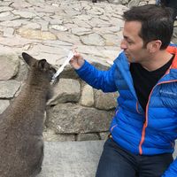 Cyril Eskenazi的照片