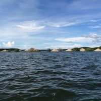 Sara Vasconcelos's Photo