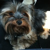 Martina Mernini's Photo