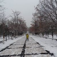 Yuli Betancur的照片