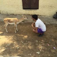 Zdjęcia użytkownika Pradumn Nagpal