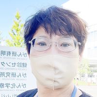 Le foto di Liu Hongyu