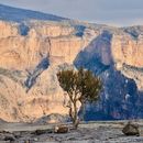 Hiking In Jebel Shams's picture