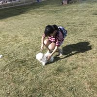 Фотографии пользователя Jessie Pan