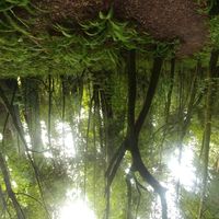 Adrian Stroud的照片