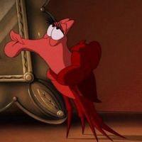 Fotos de Sebastian Boon