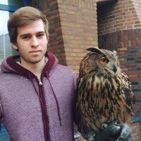 Vincent Panhuysen's Photo