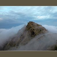 Ricardo Alanis的照片