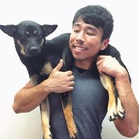 Nicholas Koh's Photo