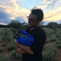 Fotos de Jules Van Hoe