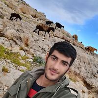 Bagheri Arash's Photo