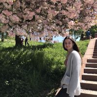 Фотографии пользователя Julia Chaban