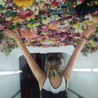 Clarisse Treilhes's Photo