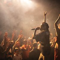 Morcego Real's Photo