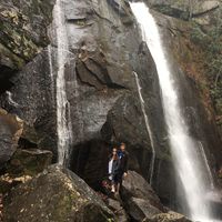 Fotos de Stephanie Davi