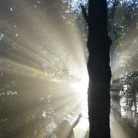 Alexander Saravia's Photo