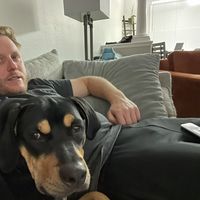 Photos de Matt O'Connell