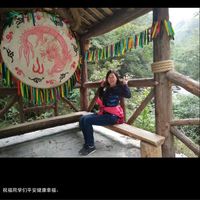 Liu Felicity's Photo