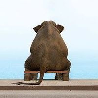 Quốc Tuấn Cao的照片