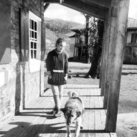 farane zolghadr's Photo