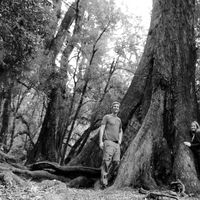 Ciara Denham's Photo