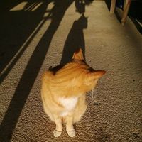 Wenjing Zeng的照片