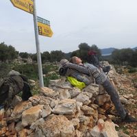 Фотографии пользователя Clara Zimmermann